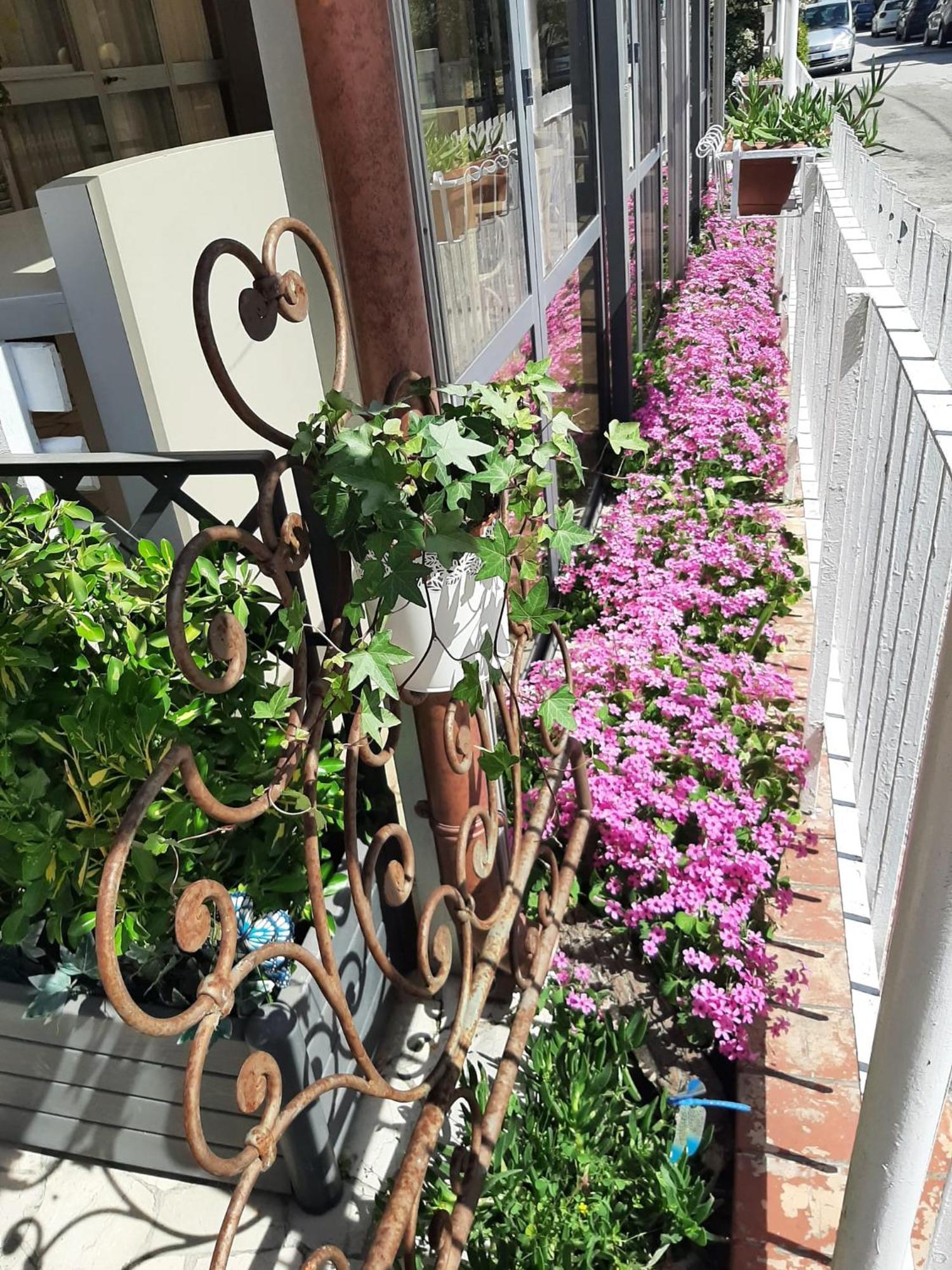 Hotel Sabbia D'Oro ริมินี ภายนอก รูปภาพ